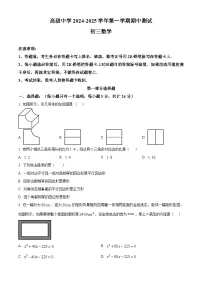 广东省深圳市深圳高级中学2024-2025学年九年级上学期期中考试数学试卷