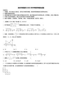 安庆市桐城市2025年中考数学模拟试题含解析