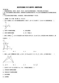 武汉市汉南区2025届中考一模数学试题含解析