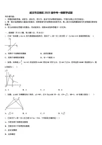 武汉市汉南区2025届中考一模数学试题含解析
