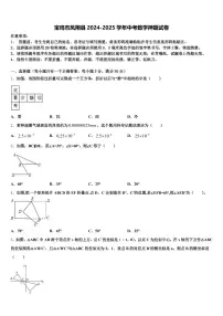 宝鸡市凤翔县2024-2025学年中考数学押题试卷含解析