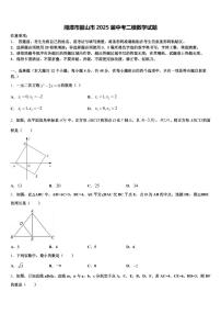 湘潭市韶山市2025届中考二模数学试题含解析