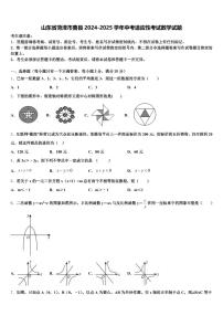 山东省菏泽市曹县2024-2025学年中考适应性考试数学试题含解析