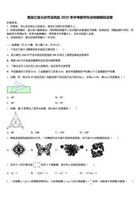 黑龙江省大庆市龙凤区2025年中考数学对点突破模拟试卷含解析