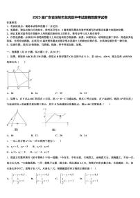 2025届广东省深圳市龙岗区中考试题猜想数学试卷含解析