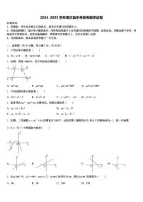 2024-2025学年噶尔县中考联考数学试卷含解析