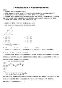 广西壮族自治区来宾市2025届中考数学全真模拟试题含解析