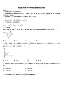砀山县2025年中考数学适应性模拟试题含解析