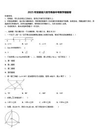 2025年安徽省六安市寿县中考数学猜题卷含解析