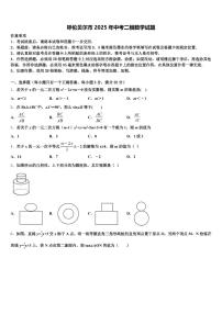 呼伦贝尔市2025年中考二模数学试题含解析