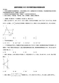益阳市资阳区2025年中考数学最后冲刺模拟试卷含解析