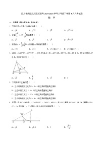 四川省绵阳市北川羌族自治县五校联考2024-2025学年八年级下学期4月月考数学试卷(含答案)