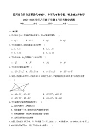 四川省自贡市富顺县代寺镇中，中石九年制学校、骑龙镇九年制学校2024-2025学年八年级下学期4月月考数学试卷(含解析)