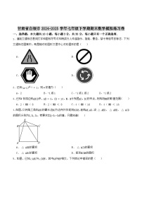 甘肃省白银市2024-2025学年七年级下学期期末模拟练习数学试卷(含答案)