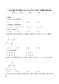 广东省湛江市六校联考2024-2025学年八年级下学期期中考试数学试卷(含解析)