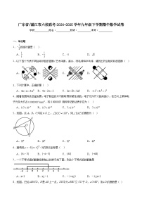 广东省湛江市六校联考2025届九年级下学期期中考试数学试卷(含解析)