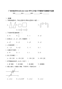 广西河池市环江县2024-2025学年七年级下学期期中检测数学试卷(含解析)