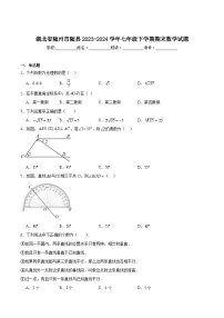 湖北省随州市随县2023-2024学年七年级下学期期末考试数学试卷(含解析)