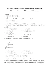 山东省济宁市金乡县2023-2024学年七年级下学期7月期末考试数学试卷(含解析)