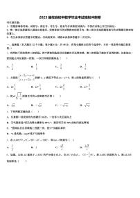 2025届攸县初中数学毕业考试模拟冲刺卷含解析
