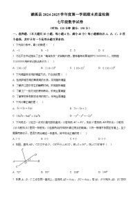 安徽省淮北市濉溪县2024-2025学年七年级上学期1月期末数学试题