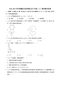 【八上HK数学】 安徽省合肥市蜀山区2024-2025学年上学期八年级期末数学试卷