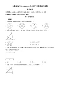 安徽省池州市2024-2025学年九年级上学期拔高性检测数学试卷
