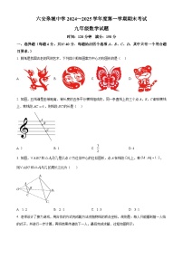 安徽省六安皋城中学2024-2025学年九年级上学期1月期末考试数学试题