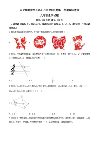 安徽省六安皋城中学2024-2025学年九年级上学期1月期末考试数学试题