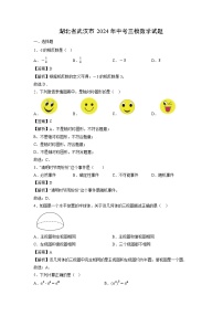 湖北省武汉市2024年中考三模[中考模拟]数学试卷（解析版）