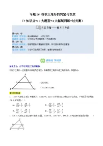 专题16 相似三角形的判定与性质-【暑假自学课】2025年新九年级数学暑假提升精品讲义（原卷版+解析版）（浙教版）