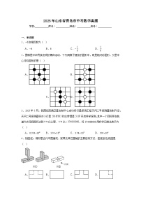 2025年山东省青岛市中考数学真题（无答案）