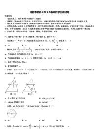 成都市郫县2025年中考数学五模试卷含解析