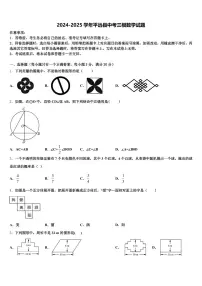 2024-2025学年平远县中考三模数学试题含解析