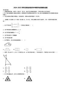 2024-2025学年甘肃省庆阳市中考数学全真模拟试题含解析