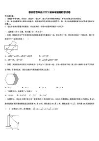 泰安市东平县2025届中考猜题数学试卷含解析