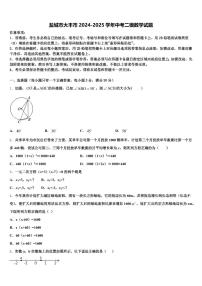 盐城市大丰市2024-2025学年中考二模数学试题含解析