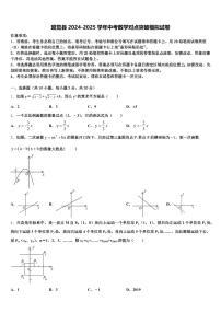 昭觉县2024-2025学年中考数学对点突破模拟试卷含解析
