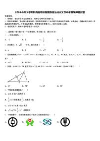2024-2025学年黔西南布依族苗族自治州兴义市中考数学押题试卷含解析