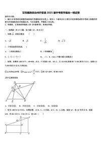 甘孜藏族自治州炉霍县2025届中考数学最后一模试卷含解析