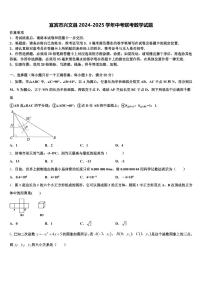 宜宾市兴文县2024-2025学年中考联考数学试题含解析