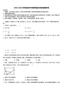 2024-2025学年邵武市中考数学最后冲刺浓缩精华卷含解析