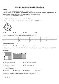 2025届江苏省扬州市江都市中考数学仿真试卷含解析