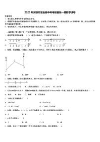 2025年河源市紫金县中考考前最后一卷数学试卷含解析