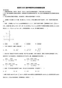 延吉市2025届中考数学对点突破模拟试卷含解析