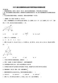 2025届长白朝鲜族自治县中考数学最后冲刺模拟试卷含解析