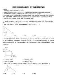 河池市巴马瑶族自治县2025年中考试题猜想数学试卷含解析
