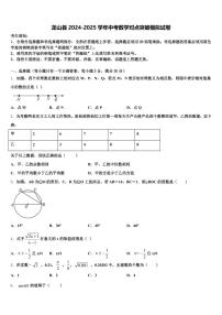 龙山县2024-2025学年中考数学对点突破模拟试卷含解析
