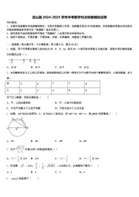 龙山县2024-2025学年中考数学对点突破模拟试卷含解析