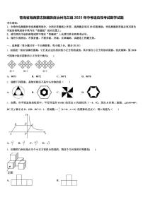 青海省海西蒙古族藏族自治州乌兰县2025年中考适应性考试数学试题含解析